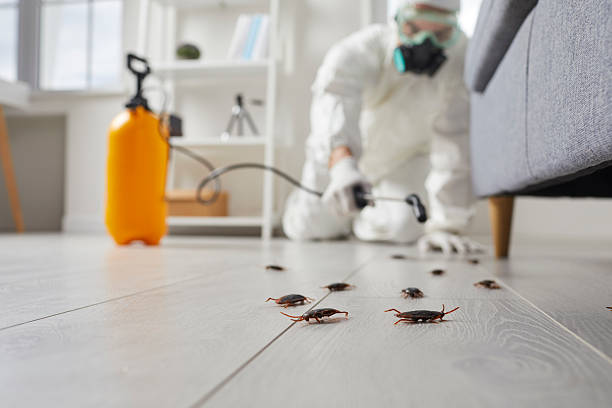 Commercial Kitchen Cockroach Control in Midway